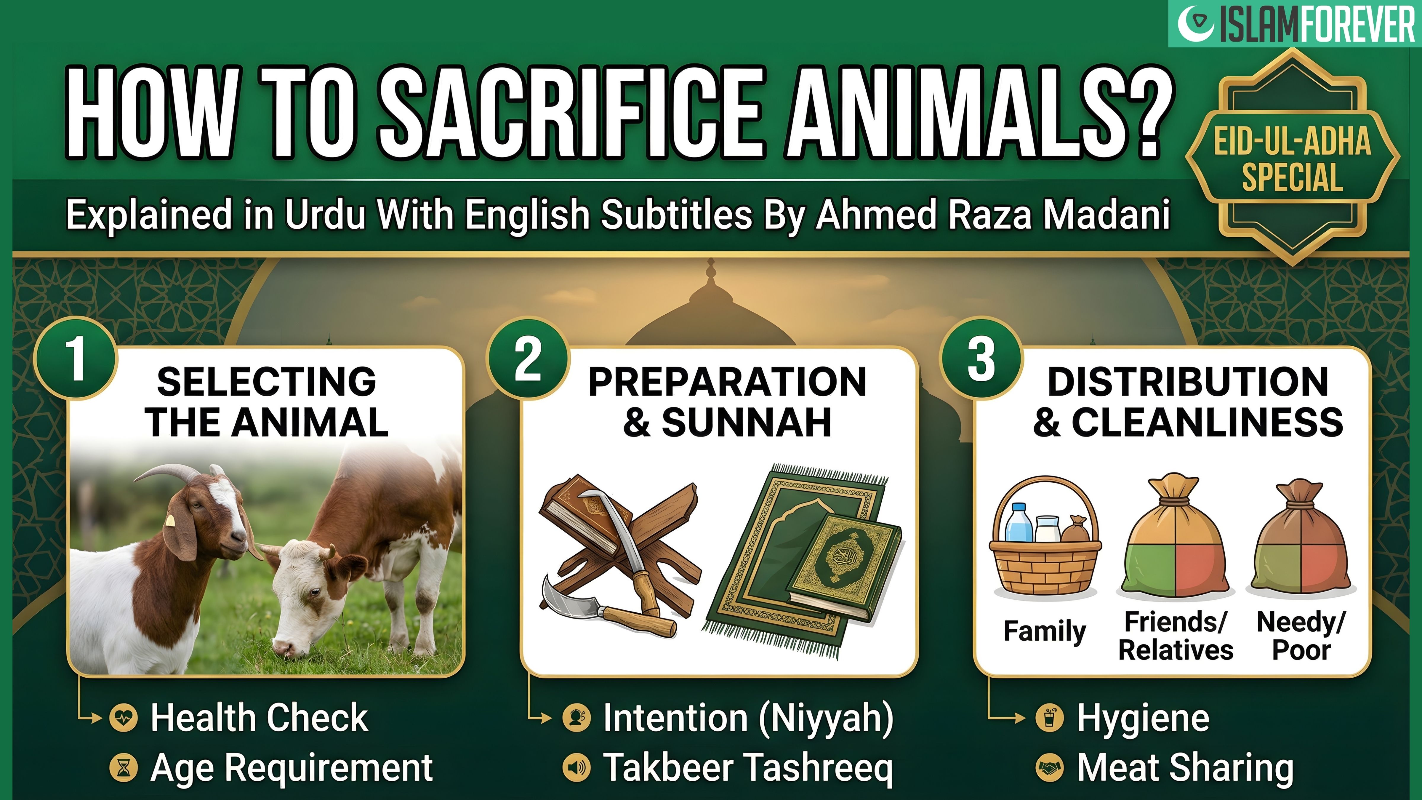 HOW TO Sacrifice Animals?